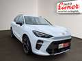 CUPRA Terramar 1.5 eTSI Tribe DSG Panoramadach+AHK Weiß - thumbnail 19