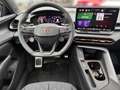 CUPRA Terramar 1.5 eTSI Tribe DSG Panoramadach+AHK Weiß - thumbnail 10