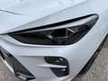 CUPRA Terramar 1.5 eTSI Tribe DSG Panoramadach+AHK Weiß - thumbnail 4