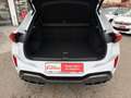CUPRA Terramar 1.5 eTSI Tribe DSG Panoramadach+AHK Weiß - thumbnail 13