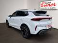 CUPRA Terramar 1.5 eTSI Tribe DSG Panoramadach+AHK Weiß - thumbnail 12