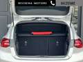 Ford Focus 1.5 EcoBlue 115 CV automatico 5p. ST-Line Argent - thumbnail 11