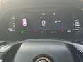 Skoda Octavia 2.0 TDI EVO SCR 150 CV DSG Executive Grigio - thumbnail 12