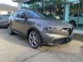 Alfa Romeo Tonale 1.6 diesel 130 CV TCT6 Veloce Grigio - thumbnail 1