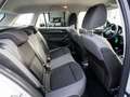 Skoda Fabia Combi Ambition 1.0 TSI Navi Klima PDC SHZ Weiß - thumbnail 7