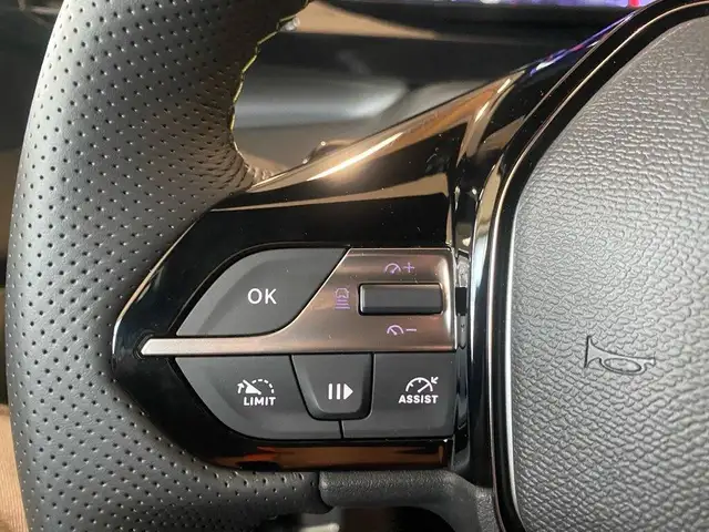 Peugeot 308 SW view 12