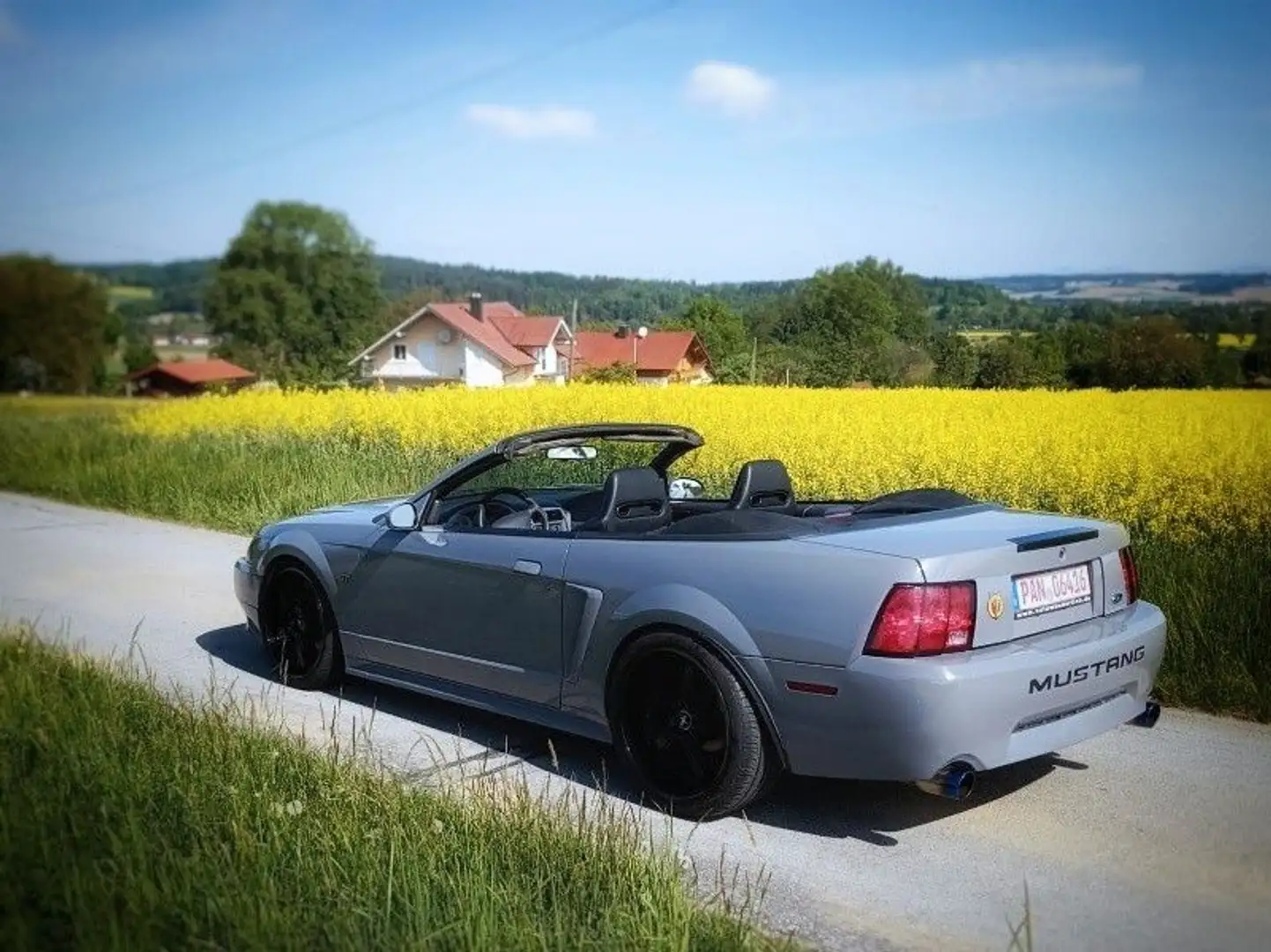 Ford Mustang 4.6 V8 Cabrio 5-Gang Schalter Grau - 2