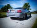 Ford Mustang 4.6 V8 Cabrio 5-Gang Schalter Gris - thumbnail 8