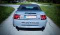 Ford Mustang 4.6 V8 Cabrio 5-Gang Schalter Gris - thumbnail 5