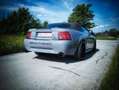 Ford Mustang 4.6 V8 Cabrio 5-Gang Schalter Gris - thumbnail 4