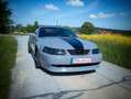 Ford Mustang 4.6 V8 Cabrio 5-Gang Schalter Gris - thumbnail 6