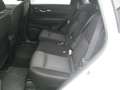 Nissan X-Trail 2.0 dci 177cv N-Connecta 4wd xtronic, FULL OPT!! Bianco - thumbnail 7