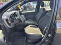 Fiat Panda 1.0 firefly hybrid Sport s&s 70cv Nero - thumbnail 6