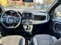 Fiat Panda 1.0 firefly hybrid Sport s&s 70cv Nero - thumbnail 15