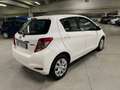 Toyota Yaris Yaris 5p 1.0 Active Bianco - thumbnail 13