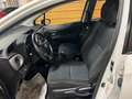 Toyota Yaris Yaris 5p 1.0 Active Bianco - thumbnail 5