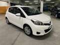 Toyota Yaris Yaris 5p 1.0 Active Bianco - thumbnail 12