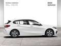 BMW 116 i 5-Türer Advantage NP 37.769,- Weiß - thumbnail 8