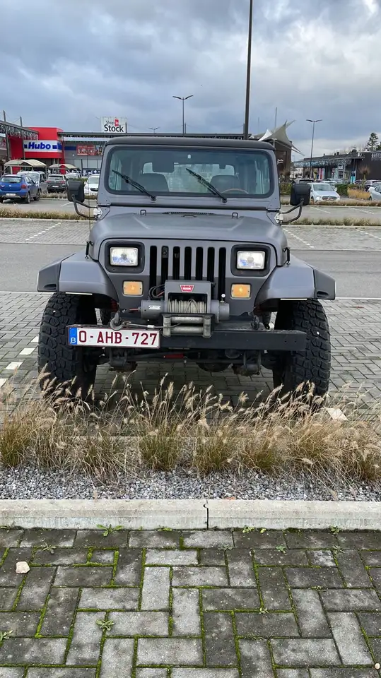Jeep Wrangler YJ 4.0L, foto 2
