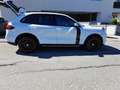 Porsche Cayenne CAYENNE II PLATINUM Edition 3,0 Diesel Aut. Weiß - thumbnail 13