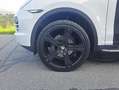 Porsche Cayenne CAYENNE II PLATINUM Edition 3,0 Diesel Aut. Weiß - thumbnail 3