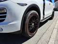 Porsche Cayenne CAYENNE II PLATINUM Edition 3,0 Diesel Aut. Weiß - thumbnail 12
