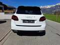 Porsche Cayenne CAYENNE II PLATINUM Edition 3,0 Diesel Aut. Weiß - thumbnail 4