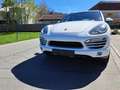 Porsche Cayenne CAYENNE II PLATINUM Edition 3,0 Diesel Aut. Weiß - thumbnail 3