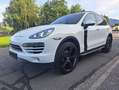 Porsche Cayenne CAYENNE II PLATINUM Edition 3,0 Diesel Aut. Weiß - thumbnail 1