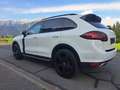 Porsche Cayenne CAYENNE II PLATINUM Edition 3,0 Diesel Aut. Weiß - thumbnail 2