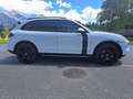 Porsche Cayenne CAYENNE II PLATINUM Edition 3,0 Diesel Aut. Weiß - thumbnail 16