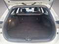 Kia Ceed SW / cee'd SW Ceed SW Silber 1.5 TGDI P2 Weiß - thumbnail 18