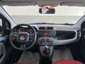 Fiat Panda Panda 0.9 TwinAir Turbo S&S Easy Blanco - thumbnail 15