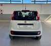 Fiat Panda Panda 0.9 TwinAir Turbo S&S Easy Blanco - thumbnail 6