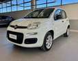 Fiat Panda Panda 0.9 TwinAir Turbo S&S Easy Blanco - thumbnail 3