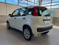 Fiat Panda Panda 0.9 TwinAir Turbo S&S Easy Blanco - thumbnail 5
