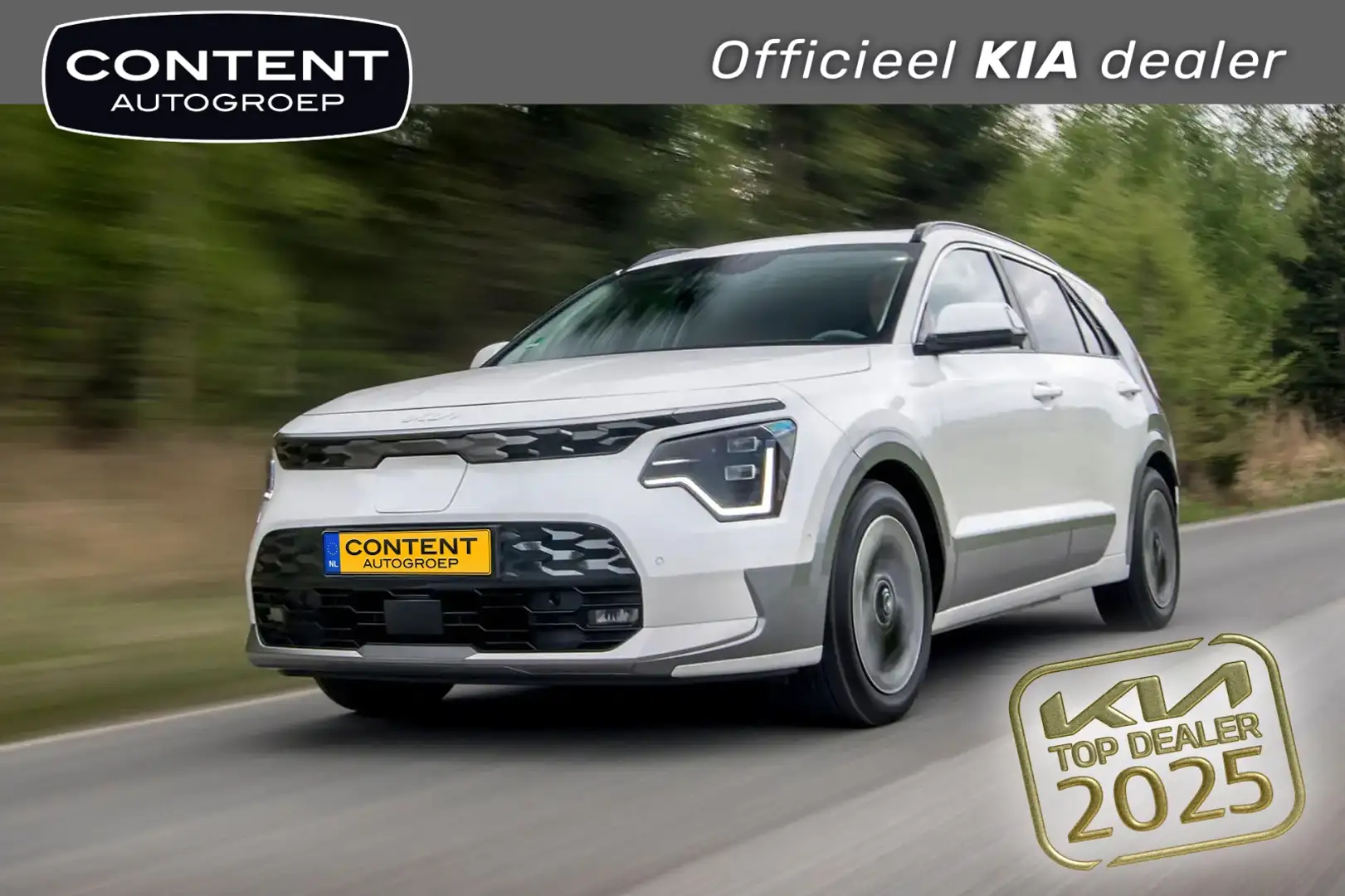 Kia e-Niro 64,8 kWh 204pk Aut Air Blauw - 1