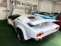 Lamborghini Countach Replika Replica Nachbau Saier Catapult Weiß - thumbnail 3
