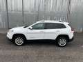 Jeep Cherokee Cherokee 2.0 Mjt II 4WD Active Drive I Limited Bianco - thumbnail 4