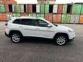 Jeep Cherokee Cherokee 2.0 Mjt II 4WD Active Drive I Limited Bianco - thumbnail 5