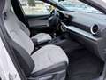 SEAT Ibiza FR Edition 1.0 TSI 95PS Weiß - thumbnail 8
