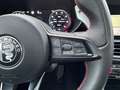 Alfa Romeo Giulia Competizione+SCHIEBEDACH+HARMAN+LEDER+BREMBO+ Rood - thumbnail 20