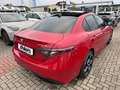 Alfa Romeo Giulia Competizione+SCHIEBEDACH+HARMAN+LEDER+BREMBO+ Rood - thumbnail 8