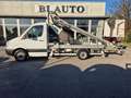 Mercedes-Benz Sprinter 313 CDI F37/35 CESTELLO PIATTAFORMA AEREA Blanc - thumbnail 1