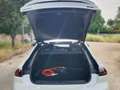 Peugeot 508 5P PSE HYBRID 360 e-EAT8 Blanco - thumbnail 22