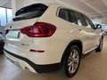 BMW X3 xDrive20d xLine TAGLIANDI BMW Weiß - thumbnail 7