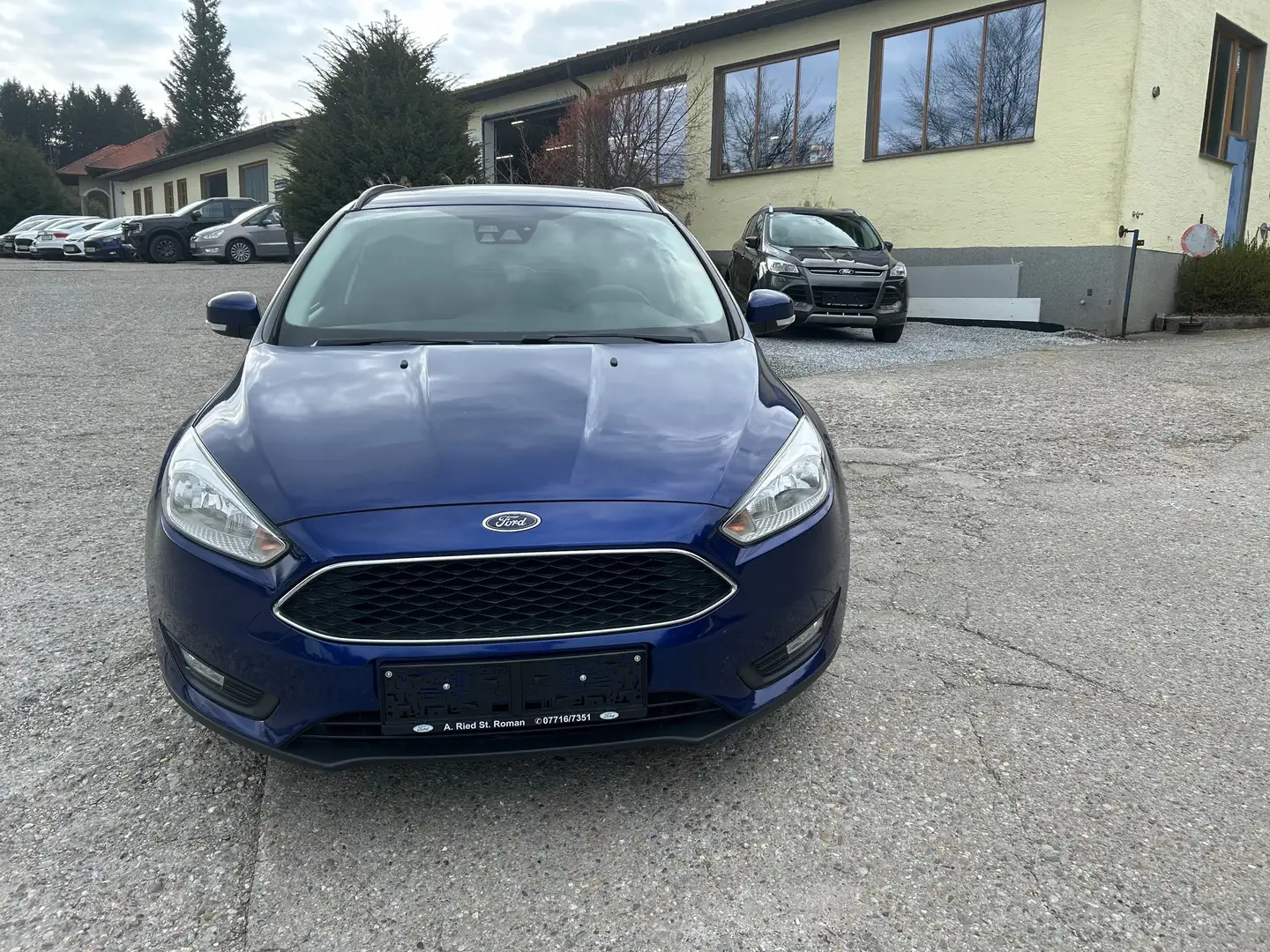 Ford Focus Trend, Winterpaket, Getönte Scheiben Blau - 2