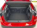 Citroen C4 Max Rot - thumbnail 12