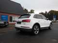 Audi Q5 40 TDI quattro AHK/19"/NAV/el.HECKKLAPPE Blanc - thumbnail 3