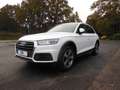 Audi Q5 40 TDI quattro AHK/19"/NAV/el.HECKKLAPPE Blanc - thumbnail 7
